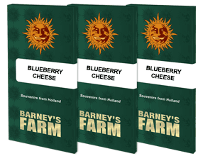 Blueberry cheese (3) 100% barney farm see